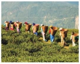 Natural Resources and Their Use Chapter Notes | Social Science  Class 8 - New NCERT