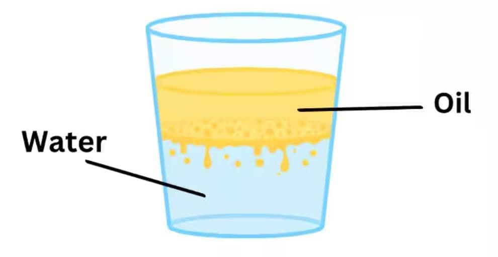 MCQ (Solution) - The Amazing World of Solutes, Solvents, and Solutions | Science Curiosity Class 8 -  New NCERT
