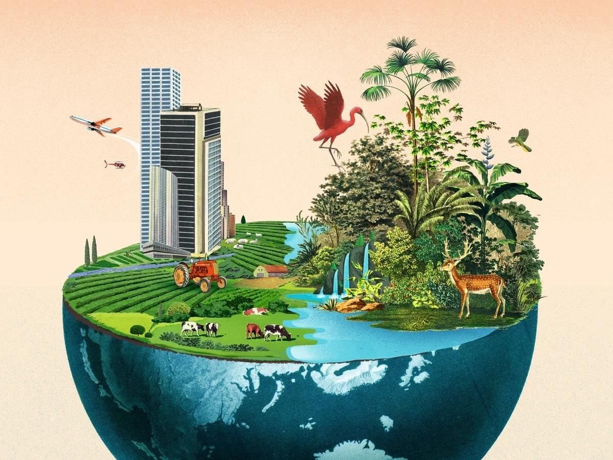 Important Questions: Diversity in the Living World | Science for Class 6