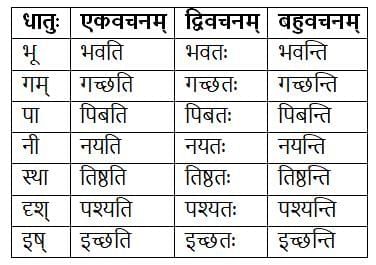 धातुरूपाणि Chapter Notes | Chapter Notes For Class 8