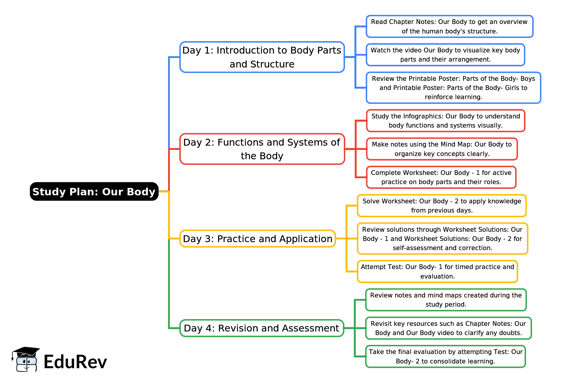 4-Days Study Plan: Our Body | EVS for Class 1