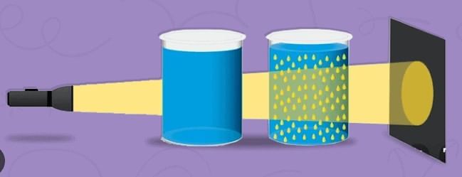 Important Points: Nature of Matter: Elements, Compounds, and Mixtures | Science Curiosity Class 8 -  New NCERT