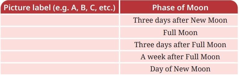 Keeping Time with the Skies NCERT Solutions | Science Curiosity Class 8 -  New NCERT