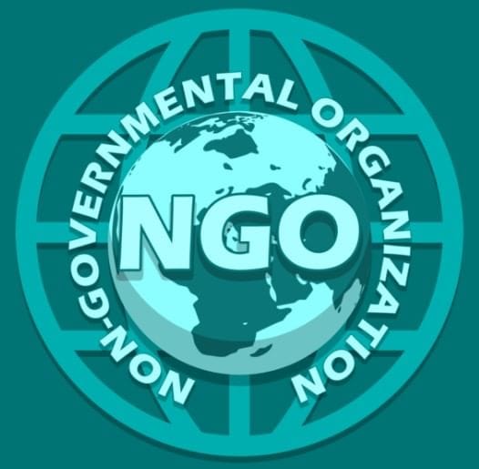 Non-Governmental Organisations (NGOs)