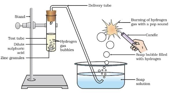 Acids, Bases and Salts - 2 Class 10 Worksheet Science Chapter 2