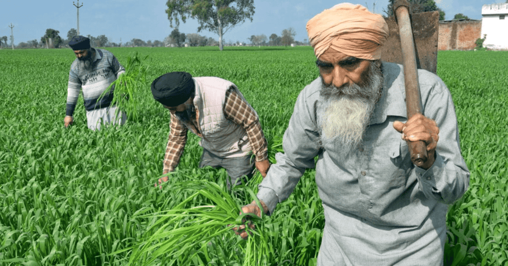 Farmer`s Demand for Legalizing MSP