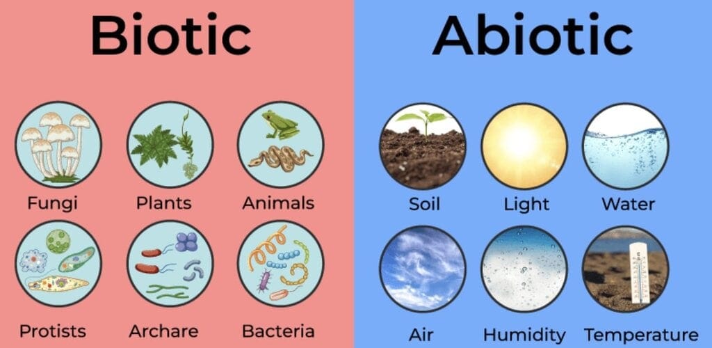 Components & Levels of an Ecosystem