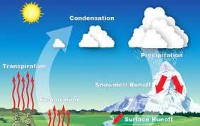 Multimedia Gallery - The water cycle describes the continuous movement of  water on, above and below the Earth's surface. | NSF - National Science  Foundation