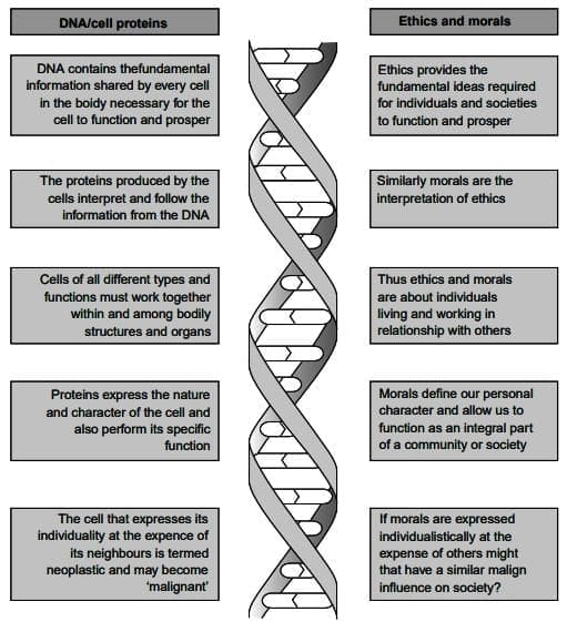 Case 1: Outcome