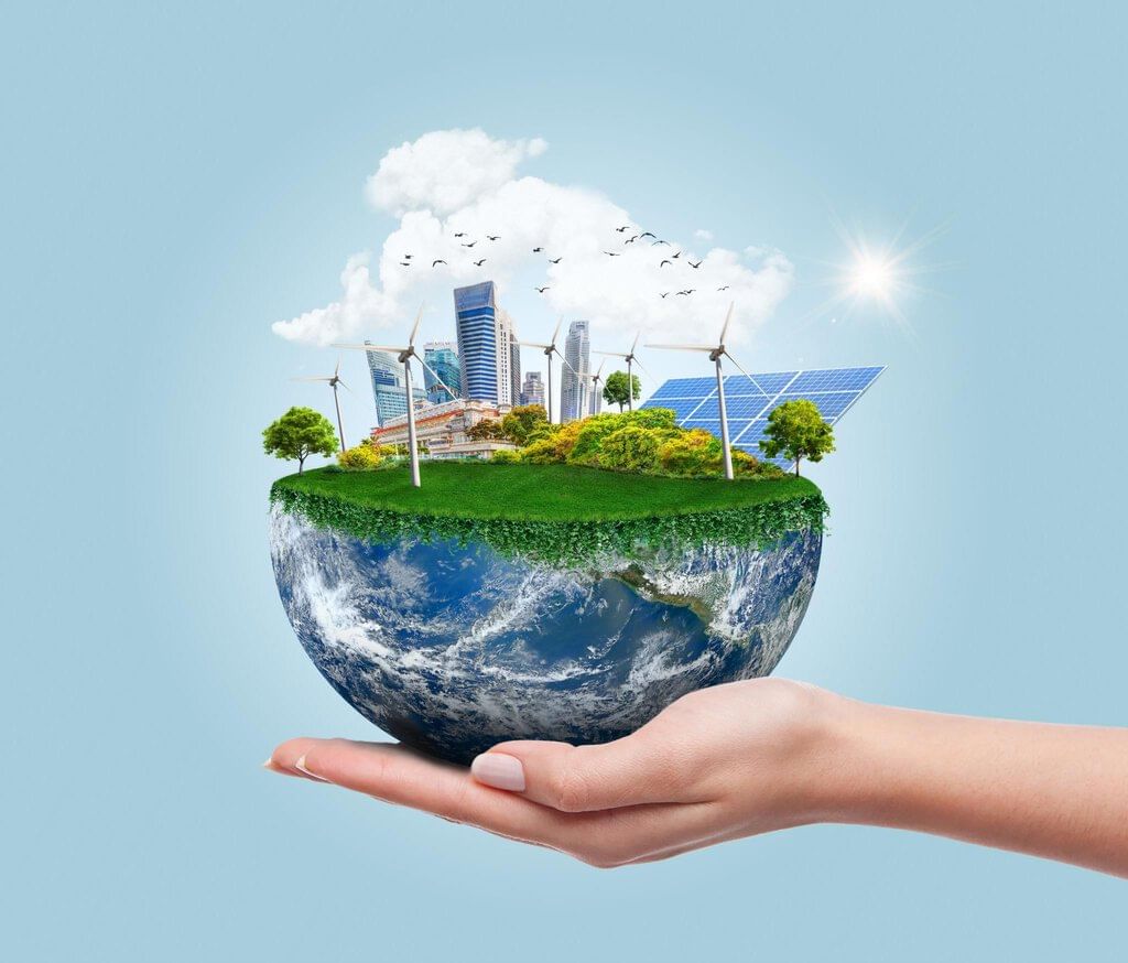 Unit Test (Solution): Diversity in the Living World - 1 | Science for Class 6