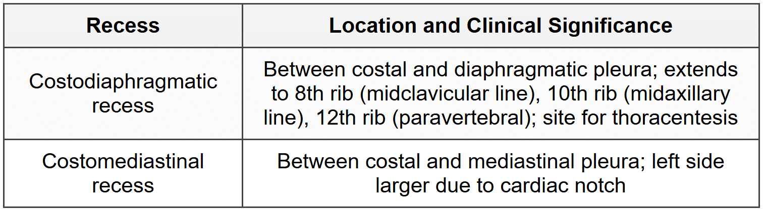 4.1.2 Pleural Recesses