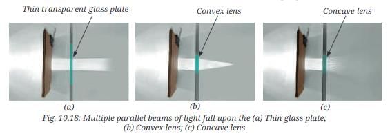 NCERT Based Activity: Light: Mirrors and Lenses | Science Curiosity Class 8 -  New NCERT