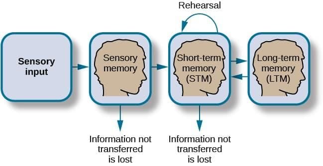 Types of Long-Term Memory