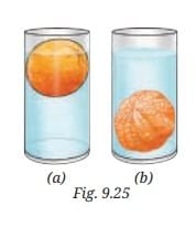 The Amazing World of Solutes, Solvents, and Solutions NCERT Solutions | Science Curiosity Class 8 -  New NCERT