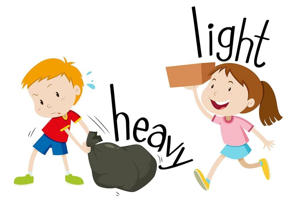Measurement - Length, Weight and Capacity Chapter Notes | Mathematics Olympiad for Class 1