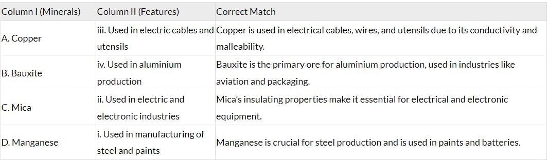 Class 10 Geography Chapter 5 Previous Year Questions - Minerals and Energy Resources
