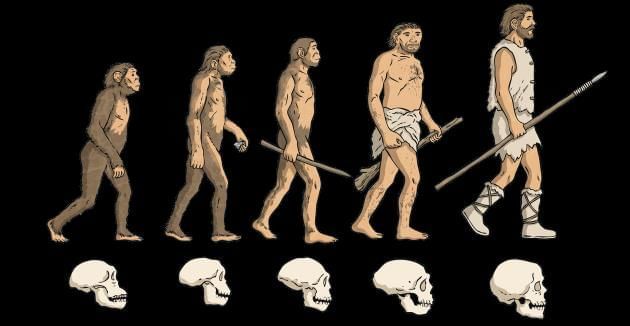 Revision Notes: Human Evolution | Biology Class 10 ICSE