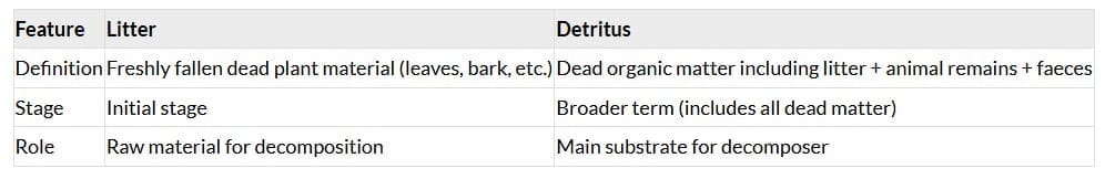 NCERT Solutions: Ecosystem