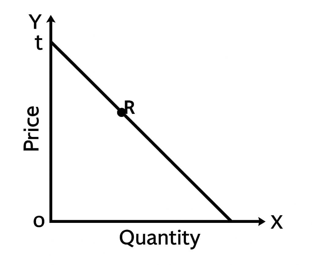 Short Notes: Unit 1: Law of Demand and Elasticity of Demand | Business Economics for CA Foundation