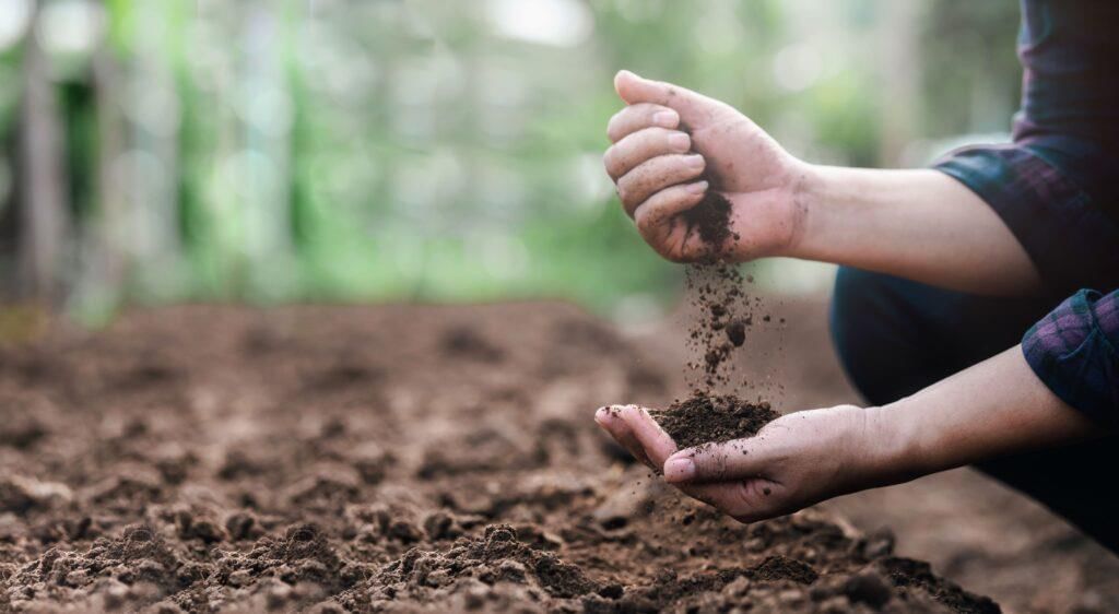Rocks, The Rock Cycle and Soil Chapter Notes | Year 6 Science IGCSE (Cambridge)