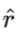 Universal Law of Gravitation | Physics Class 11 - NEET