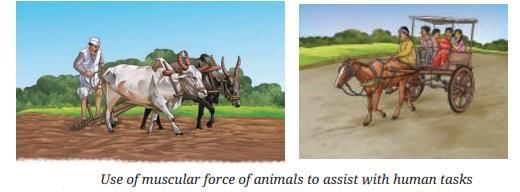 Exploring Forces Chapter Notes | Chapter Notes For Class 8