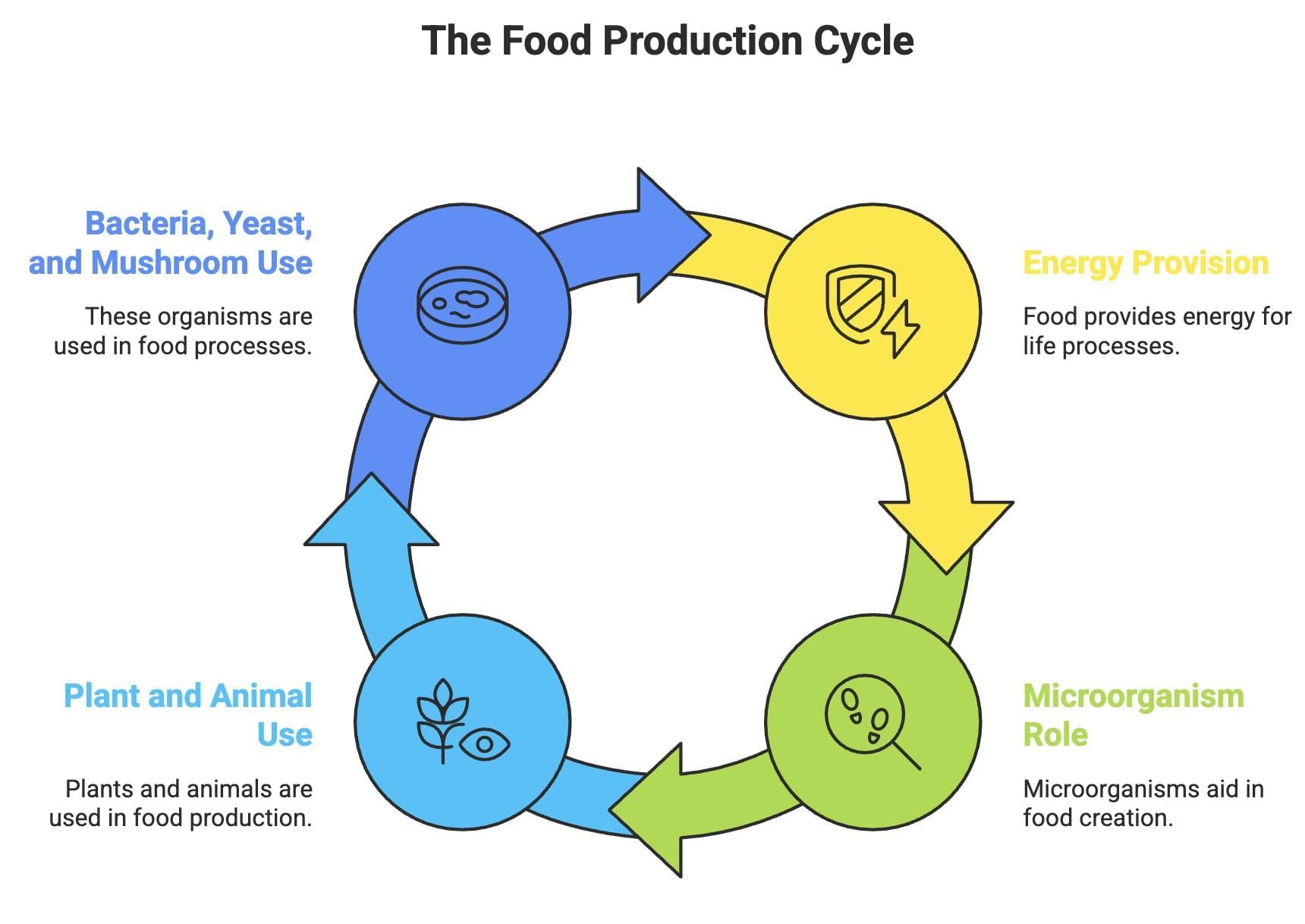 Food Production Chapter Notes | Biology for Grade 10