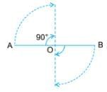 Symmetry Chapter Notes | Mathematics Class 6 (SSC Board)