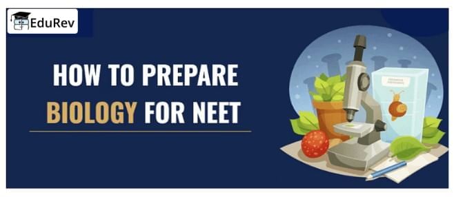 Guide for Biology NEET Preparation | NEET Mock Test Series - Updated 2026 Pattern
