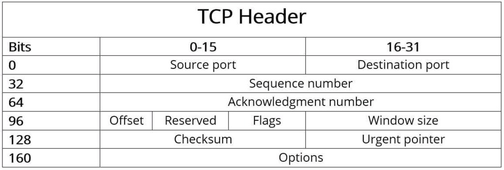 Overview of Transport Layer | Computer Networks - Computer Science Engineering (CSE)