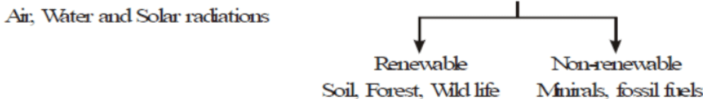 Importance of Managing Natural Resources - Class 10