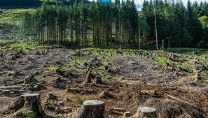 Importance of Managing Natural Resources - Class 10