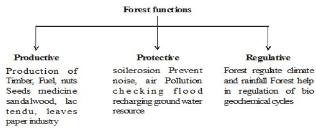 Importance of Managing Natural Resources - Class 10