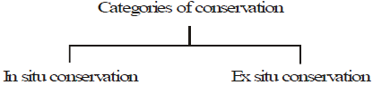 Importance of Managing Natural Resources - Class 10