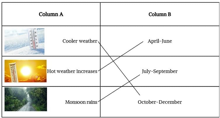 Unit Test (Solutions): Rhythms of Nature | Our Wondrous World  Class 5 - New NCERT