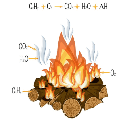 Combustion and Flame - Practice Chapter Notes - Class 8 PDF Download