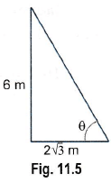 NCERT Exemplar: Some Applications of Trigonometry | Mathematics (Maths) Class 10