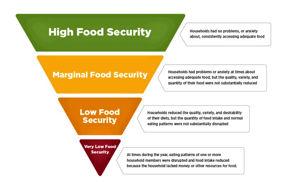 Class 9 Economics Chapter 4 Notes - Food Security in India