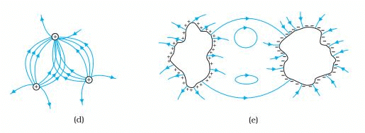 NCERT Solutions Class 12 Physics Chapter 1 - Electric Charges & Fields