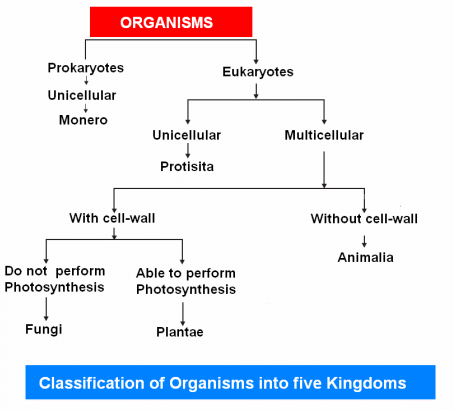 Class 9 Science Question Answers - Diversity in Living Organisms