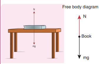 Laws of Motion Detailed Explanation | Physics Class 11 - NEET