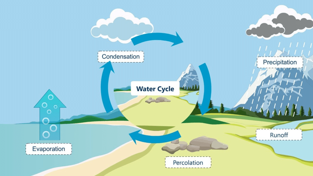Class 6 Geography Chapter 5 Notes - Water