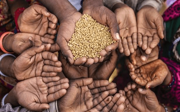 Class 9 Economics Chapter 4 Notes - Food Security in India