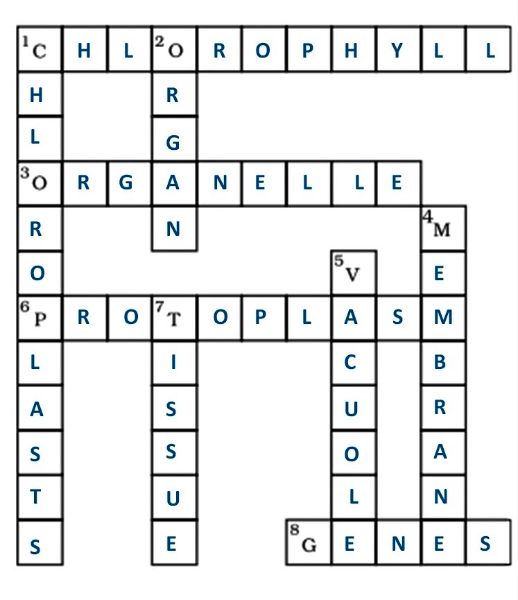 NCERT Solutions for Class 8 Science - Cell Structure and Functions