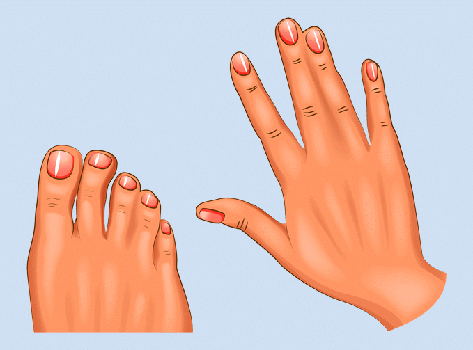 Webbed Digits