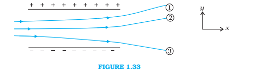NCERT Solutions Class 12 Physics Chapter 1 - Electric Charges & Fields
