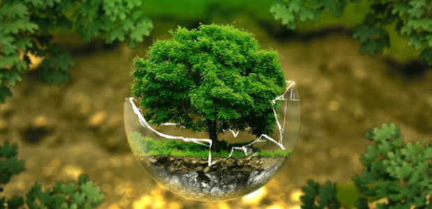 Key Concepts: Manufacturing Industries | Social Studies (SST) Class 10
