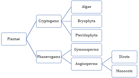 Class 9 Science Question Answers - Diversity in Living Organisms