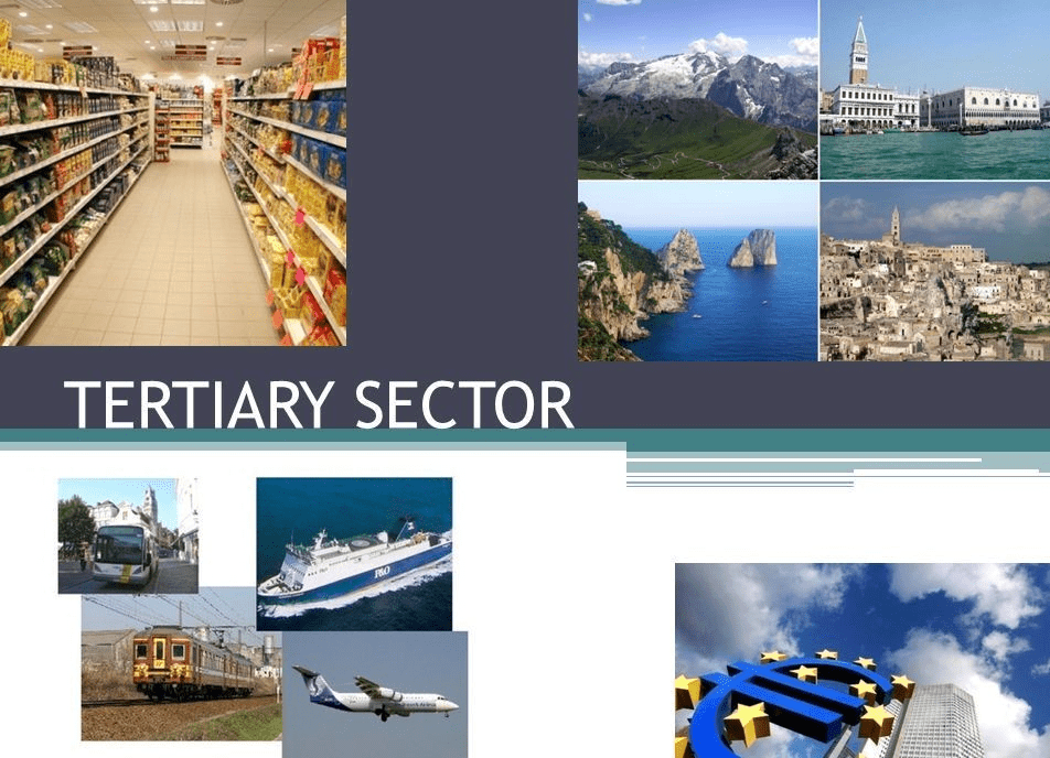 NCERT Solutions for Class 10 Economics Chapter 2 - Sectors of the Indian Economy