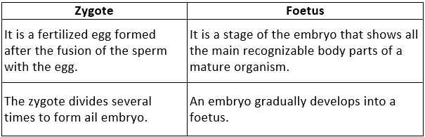 Reproduction in Animals (Practice) NCERT Solutions - Class 8